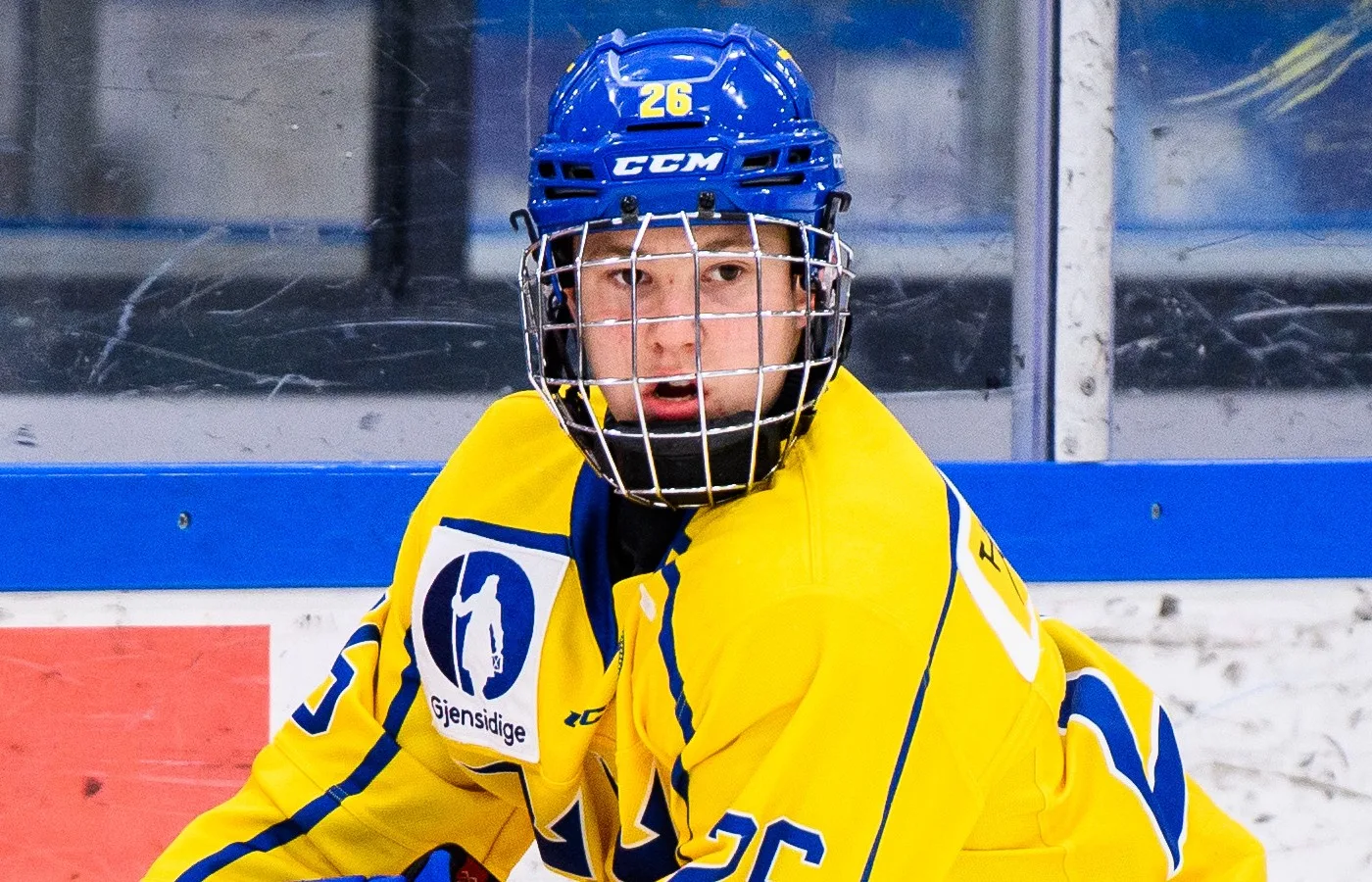 Hattrick av Alexander Zetterberg mot Finland
